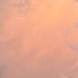 Meet your Posher, Yorlejuna